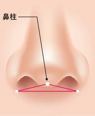 鼻柱が後退している