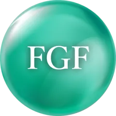 FGF