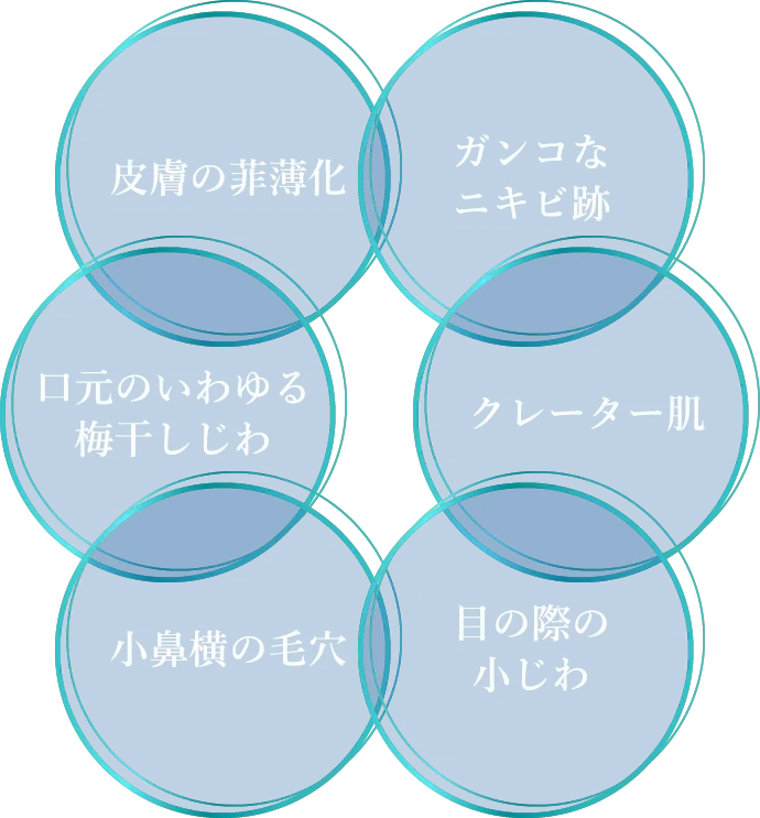 皮膚の菲薄化 ガンコなニキビ跡 口元のいわゆる梅干しじわ クレーター肌 小鼻横の毛穴 目の際の小じわ